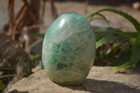 Polished Green Fluorite Standing Free Forms x 2 From Madagascar