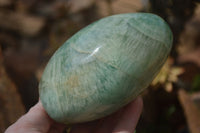 Polished Green Fluorite Standing Free Forms x 2 From Madagascar