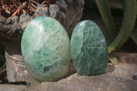 Polished Green Fluorite Standing Free Forms x 2 From Madagascar