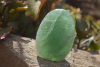 Polished Green Fluorite Standing Free Forms x 2 From Madagascar