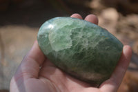 Polished Green Fluorite Standing Free Forms x 2 From Madagascar