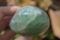 Polished Green Fluorite Standing Free Forms x 2 From Madagascar