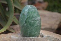 Polished Green Fluorite Standing Free Forms x 2 From Madagascar