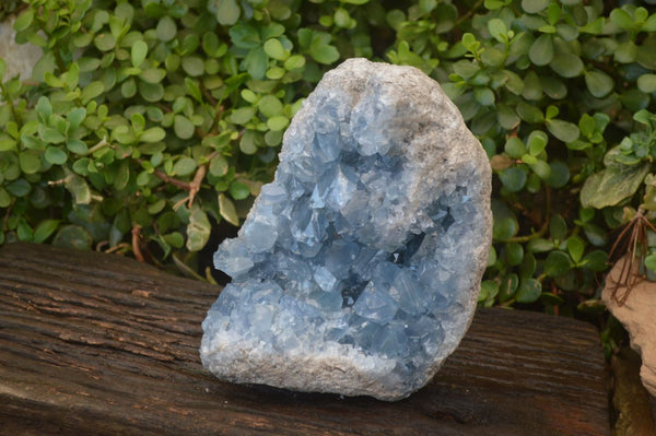 Natural Blue Celestite Geode x 1 From Sakoany, Madagascar