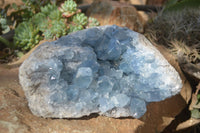 Natural Blue Celestite Geode x 1 From Sakoany, Madagascar