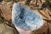 Natural Blue Celestite Geode x 1 From Sakoany, Madagascar