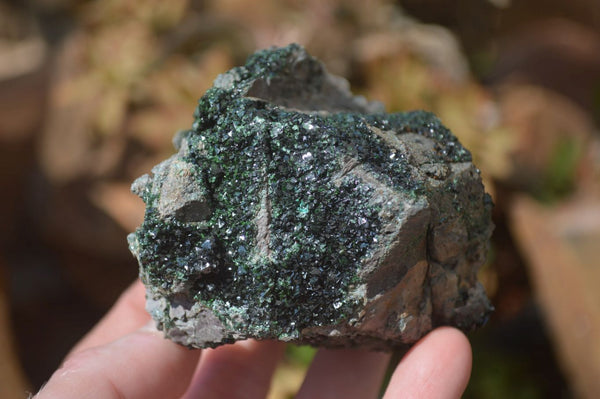 Natural Rare Libethenite On Dolomite Specimens x 3 From Kambove, Congo