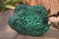 Natural Silky Malachite Specimens x 3 From Congo