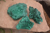 Natural Silky Malachite Specimens x 3 From Congo