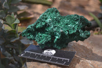 Natural Silky Malachite Specimens x 3 From Congo