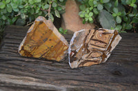 Polished On One Side Nguni Jasper Specimens x 2 From Prieska, South Africa