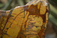 Polished On One Side Nguni Jasper Specimens x 2 From Prieska, South Africa