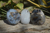 Polished Dendritic Agate Standing Free Forms x 3 From Madagascar