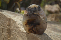 Polished Dendritic Agate Standing Free Forms x 3 From Madagascar