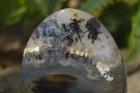 Polished Dendritic Agate Standing Free Forms x 3 From Madagascar