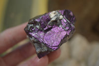 Natural Purpurite Specimens x 12 From Erongo, Namibia