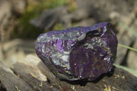 Natural Purpurite Specimens x 12 From Erongo, Namibia