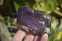 Natural Purpurite Specimens x 12 From Erongo, Namibia