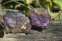 Natural Purpurite Specimens x 12 From Erongo, Namibia