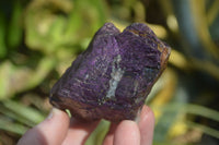 Natural Purpurite Specimens x 12 From Erongo, Namibia