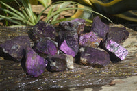 Natural Purpurite Specimens x 12 From Erongo, Namibia