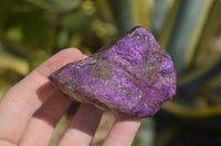 Natural Purpurite Specimens x 12 From Erongo, Namibia