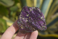 Natural Purpurite Specimens x 12 From Erongo, Namibia