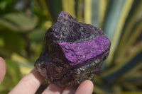 Natural Purpurite Specimens x 12 From Erongo, Namibia