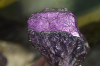 Natural Purpurite Specimens x 12 From Erongo, Namibia