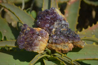 Natural Amethyst Plates x 35 From Kwaggafontein, South Africa