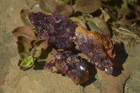 Natural Amethyst Plates x 35 From Kwaggafontein, South Africa