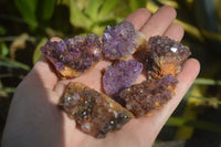 Natural Amethyst Plates x 35 From Kwaggafontein, South Africa