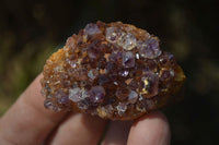 Natural Amethyst Plates x 35 From Kwaggafontein, South Africa