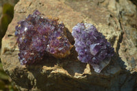 Natural Amethyst Plates x 35 From Kwaggafontein, South Africa