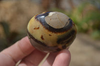 Polished Septerye Galets / Palm Stones x 12 From Mahajanga, Madagascar