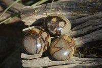 Polished Septerye Galets / Palm Stones x 12 From Mahajanga, Madagascar