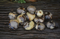 Polished Septerye Galets / Palm Stones x 12 From Mahajanga, Madagascar