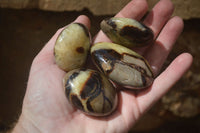 Polished Septerye Galets / Palm Stones x 12 From Mahajanga, Madagascar