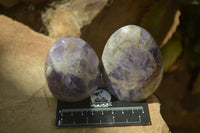 Polished Chevron Amethyst Standing Free Forms x 6 From Madagascar