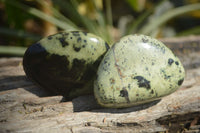 Polished Leopard Stone Galets / Palm Stones x 12 From Inyanga, Zimbabwe