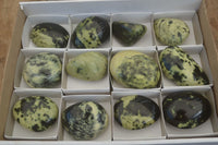 Polished Leopard Stone Galets / Palm Stones x 12 From Inyanga, Zimbabwe