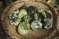 Polished Leopard Stone Galets / Palm Stones x 12 From Inyanga, Zimbabwe