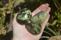 Polished Leopard Stone Galets / Palm Stones x 12 From Inyanga, Zimbabwe