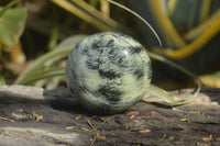 Polished Leopard Stone Galets / Palm Stones x 12 From Inyanga, Zimbabwe