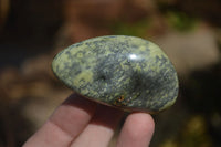 Polished Leopard Stone Galets / Palm Stones x 12 From Inyanga, Zimbabwe