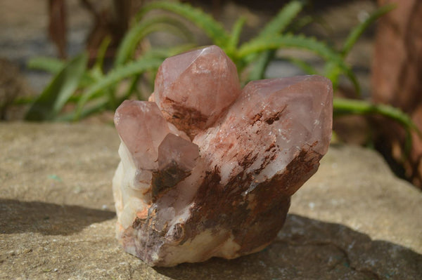 Natural Hematoid Quartz Clusters x 2 From Karoi, Zimbabwe