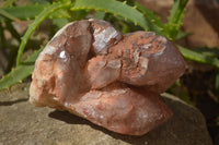 Natural Hematoid Quartz Clusters x 2 From Karoi, Zimbabwe