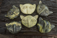 Polished Leopard Stone Cat Faces x 6 From Zimbabwe