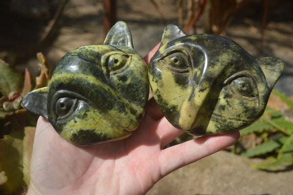 Polished Leopard Stone Cat Faces x 6 From Zimbabwe