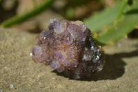 Natural Amethyst Plates x 35 From Kwaggafontein, South Africa